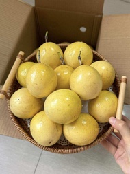Panama Rose Golden Passion Fruit 5kg 55pcs L Size 100% Sweet Promotional Pack RM142 or RM28.40/kg