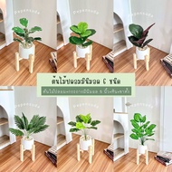 (ชุดเล็ก)🍃ต้นไม้ปลอมมินิมอล 9 ใบ+กระถางมินิมอล 5 นิ้ว+ขาตั้ง(แถมหิน) ต้นไม้ปลอมตกตแต่งบ้าน