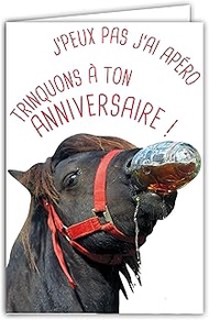 AFIE Funny Birthday Card with Illustrated Envelope 17.5 x 12 cm Horse Pony Funny Toasting a Drink in