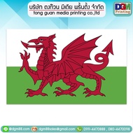 Wales Flag Decorative Flags