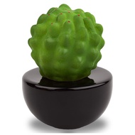 Frank Cactus, Non-Electric Ceramic Diffusers for Essential Oils and Aromatherapy Fragrance, White Ce