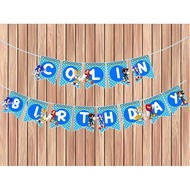 Sonic Flag Bunting Birthday Birthday Wall Decoration/ Flag/