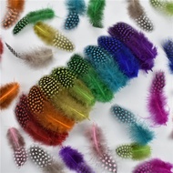 50pcs Polka dot Feather - Polka dot Feather - Owl dot Feather - Owl Feather - Spot Feather