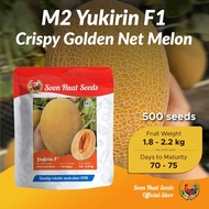 [500 Seeds] M2 Benih Melon Yukirin Soon Huat Seeds