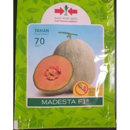 (Packet 400++ Seeds) Biji benih Rock Melon MADESTA F1 Cap Panah Merah