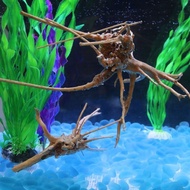 5pcs Driftwood for Aquarium Decoration