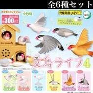 ［ tarlin ］ 日本直送 鳥 雀仔 文鳥 小鳥 文鳥的日常生活P4 飛行中雀仔 飛翔雀仔 扭蛋 鎖匙扣 吊飾 掛飾 掛繩 掛件 掛鏈 雀仔扭蛋 小鳥扭蛋 文鳥扭蛋 雀仔鎖匙扣 小鳥鎖匙扣 文鳥鎖