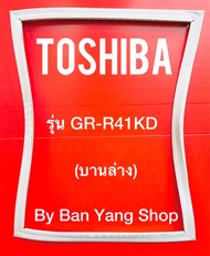 ขอบยางตู้เย็น TOSHIBA รุ่น GR-R41KD (บานล่าง)