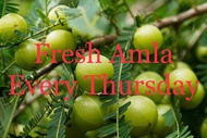 Premium Organic Amla India - Fresh Gooseberry Multipack Bag