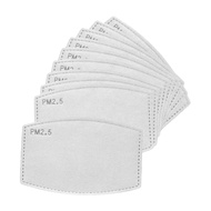 Roots Collective PM2.5 Mask Filter