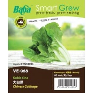 Baba Smart Grow Seed: VE-068 Chinese Cabbage