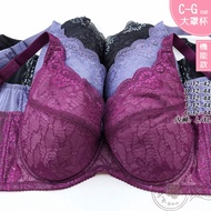 MIT Large Cup Underwear [C/D/E/F/G 32~44] 1325 Functional Deep V Bra And Pants IMAGE BODY Daily Sund