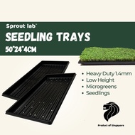 Sprout lab | Microgreens Seedling Tray HEAVY DUTY