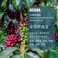 Colombia Montwea Manor Geisha Geisha Anaerobic Sun-dried Coffee Beans Hand-brewed Single Origin Coff