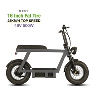 Fat Tire City Coco Electric Motorcycle Halley Electric Scooter Harleyment 2 Wheel City Coco Scooter
