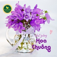 Mixed color bellflower seeds