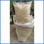 ☇◑ ◮ ◈ Fine  Kusot Saw Dust 1 Kilo for Alternative for Cat Litter / Substrate