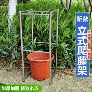 Dragon Fruit Stand Vertical Grape Stainless Steel Support Frame Rose Passion Climbing Square Melon I