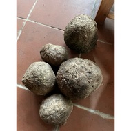 3kg naturally dyed brown root