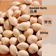 [500G] 白果 Ginkgo Nuts