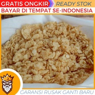 BSF maggot eggs 10 grams BSF fly cultivation