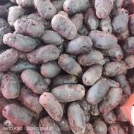 biji cengkeh zanzibar 1kg 80.000