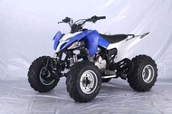 MALAYSIA STOCK ATV SPORTS LEM 250CC 5 SPEED