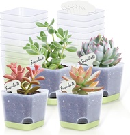 20 Pack 3 Inch Plastic Succulent Pots with Drainage Holes & Saucers Square Nursery Planters for Indo