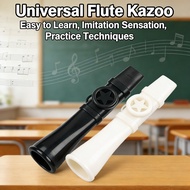 Learn Easy Flute Techniques, Practice Sax, Trumpet, Kazoo, Universal Sensation