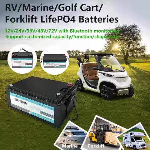 Customized 12V 24V Lifepo4 Battery 12 Volt 24 V 50ah 100Ah 150Ah 200Ah 250Ah 300ah 400Ah Lithium Ion