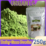 Organic Barley Grass Powder original 250g barley grass official store pure organic barley Support Immune System and Digestion, Vegan