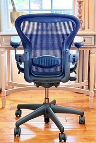 ▪️全新Herman Miller Aeron 腰墊配件 人體工學椅 電腦椅 ABC SIZE 通用