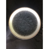 Basil Seeds | BASIL SEED | Basil | Basil Seeds