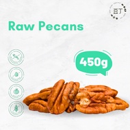 [450 Grams] Raw Pecan Nuts/Pecan Nuts/Transfigurationnuts/Mountain Nuts