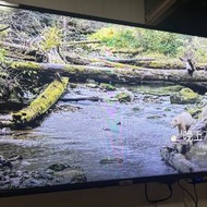 TCL 40寸智能電視