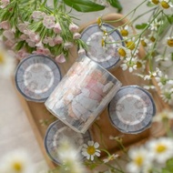 Let's Go Picnic 透明膠帶