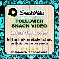 snack video follower permanen