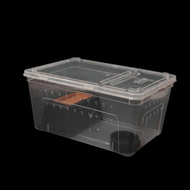 Spotted Gecko Terrarium Amphibian Habitat Box Snake & Frog Feeding and Hide Set Easy to Clean