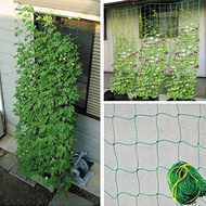 Ollie net FL-1ON climbing net