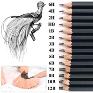 Drawing Sketch Pencil Set 14pcs Sketching Pencils 12B 10B 8B 7B 6B 5B 4B 3B 2B B HB 2H 4H 6H  Pencil