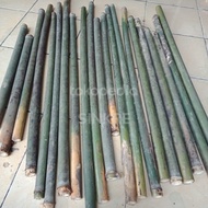 bambu tamiang suling bahan buat suling