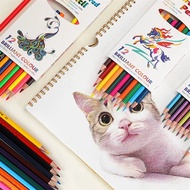 Nail Art Pencil Set 12 Colors