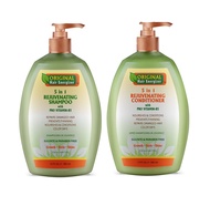 Hair Growth Shampoo & Conditioner - 2 in 1 Set, 13 fl oz each - DHT Blocker + PH Balancer Duo, Pro V
