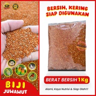 BIJI JUWAWUT jewawut jawawut biji otek sekoi biji kunyit pakan burung kenari lovebird hamster