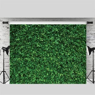 Vinyl Green Leave Photography Backdrops Birthday Background for Birthday Photo Booth Prop Decoration