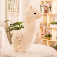 Soft and cute white Alpaca teddy bear High quality stuffed animal Lovely gift - Mysterious Teddy Bea