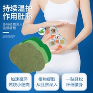 Spring Wormwood Oil-Absorbing Patch Moxa Button Patch Oil-Absorbing Patch Beauty Patch Moxibustion P