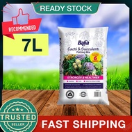 [7L] Baba Cacti & Succulent Potting Mix Soil Cactus