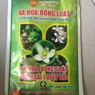 Bio Japan - Fire Ball - Flowering simultaneously - Absolutely Fruiting. Genuine Fire Ball