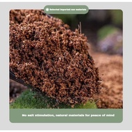 【SG STOCK】Cocopeat Block Coco Husk Chip Block Brick animal bedding, compressed, gardening Deco Tool